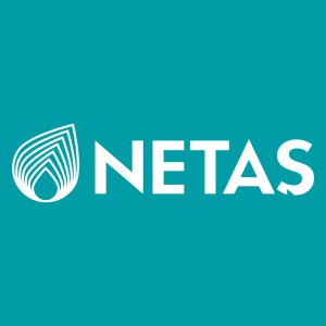 NETAS logo