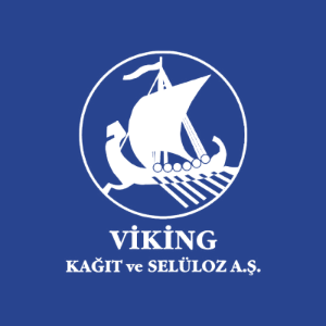 VKING logo